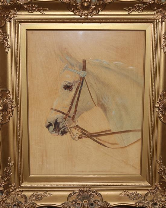 A painted velvet picture of a horse, indistinctly signed G. Rowe